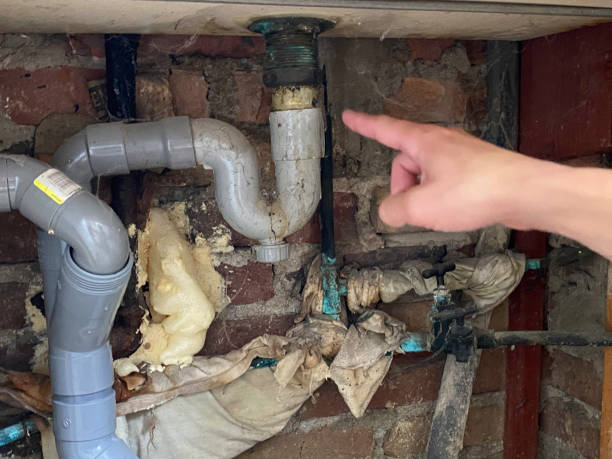 Best Local water damage restoration  in Mooreland, OK