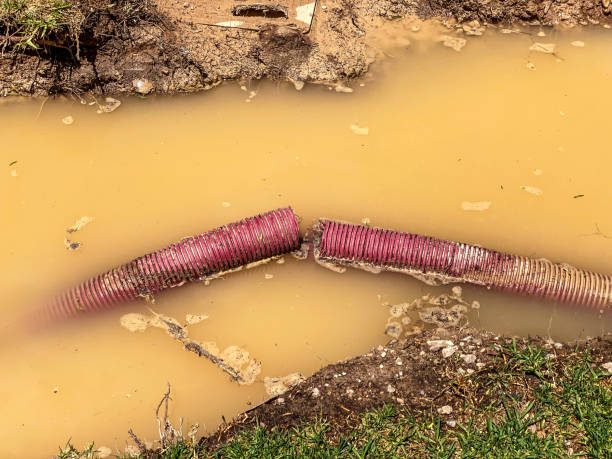 Best Flood restoration services  in Mooreland, OK